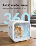 Automatic Cat Dryer — 40dB Ultra Quiet Pet Dryer Box (Drybo Plus)