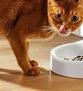 Automatic Cat Dryer — 40dB Ultra Quiet Pet Dryer Box (Drybo Plus) — collection imagery