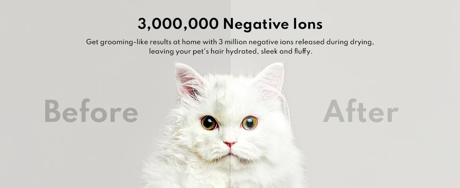 Automatic Cat Dryer — 40dB Ultra Quiet Pet Dryer Box (Drybo Plus) — collection imagery