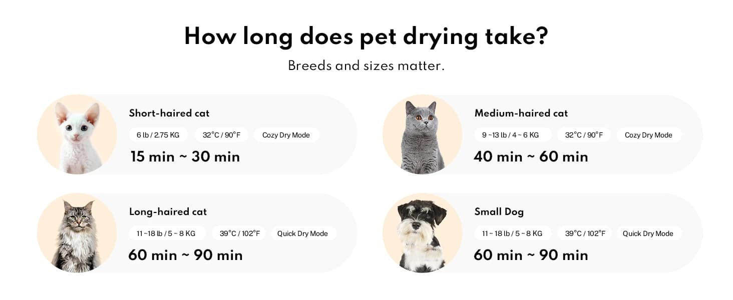 Automatic Cat Dryer — 40dB Ultra Quiet Pet Dryer Box (Drybo Plus) — product details