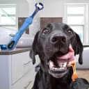 2 Pcs 3-Sided Pet Toothbrush Dog and Cat Mouth Dental Teeth Care