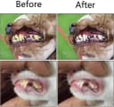 2 Pcs 3-Sided Pet Toothbrush Dog and Cat Mouth Dental Teeth Care
