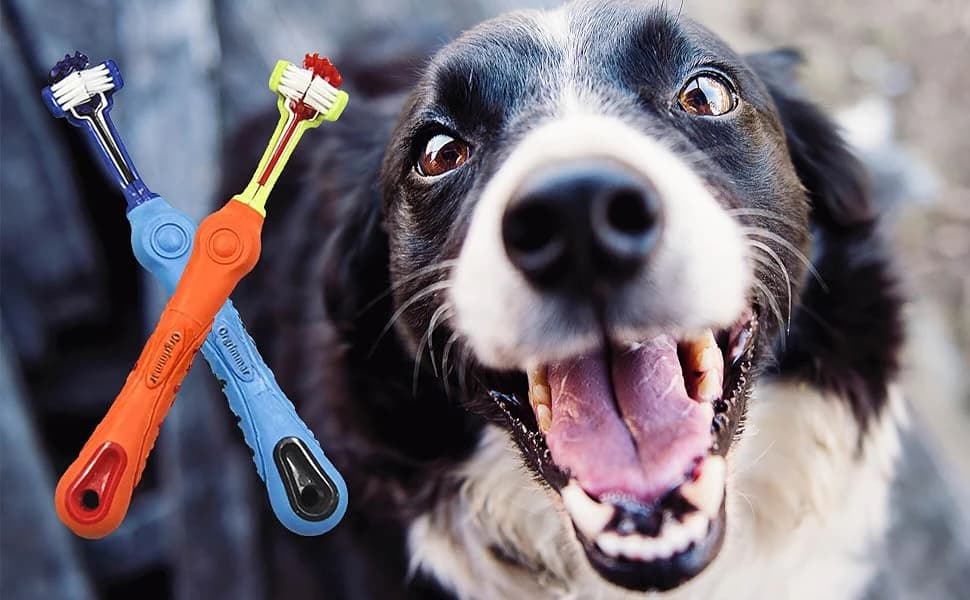 2 Pcs 3-Sided Pet Toothbrush Dog and Cat Mouth Dental Teeth Care — 3-SIDED PET TOOTHBRUSH