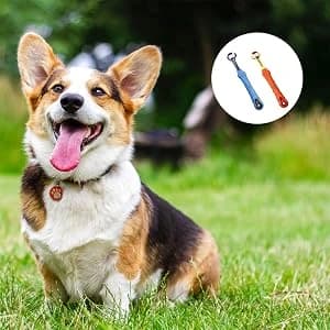 2 Pcs 3-Sided Pet Toothbrush Dog and Cat Mouth Dental Teeth Care — VALUE PACK OF PET OWNER