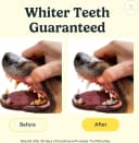 Dog Toothbrush — 360° Finger Toothbrush for Dogs and Cats