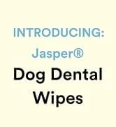 Dog Toothbrush — 360° Finger Toothbrush for Dogs and Cats — collection imagery