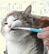 Dog Toothbrush — 360° Finger Toothbrush for Dogs and Cats — collection imagery