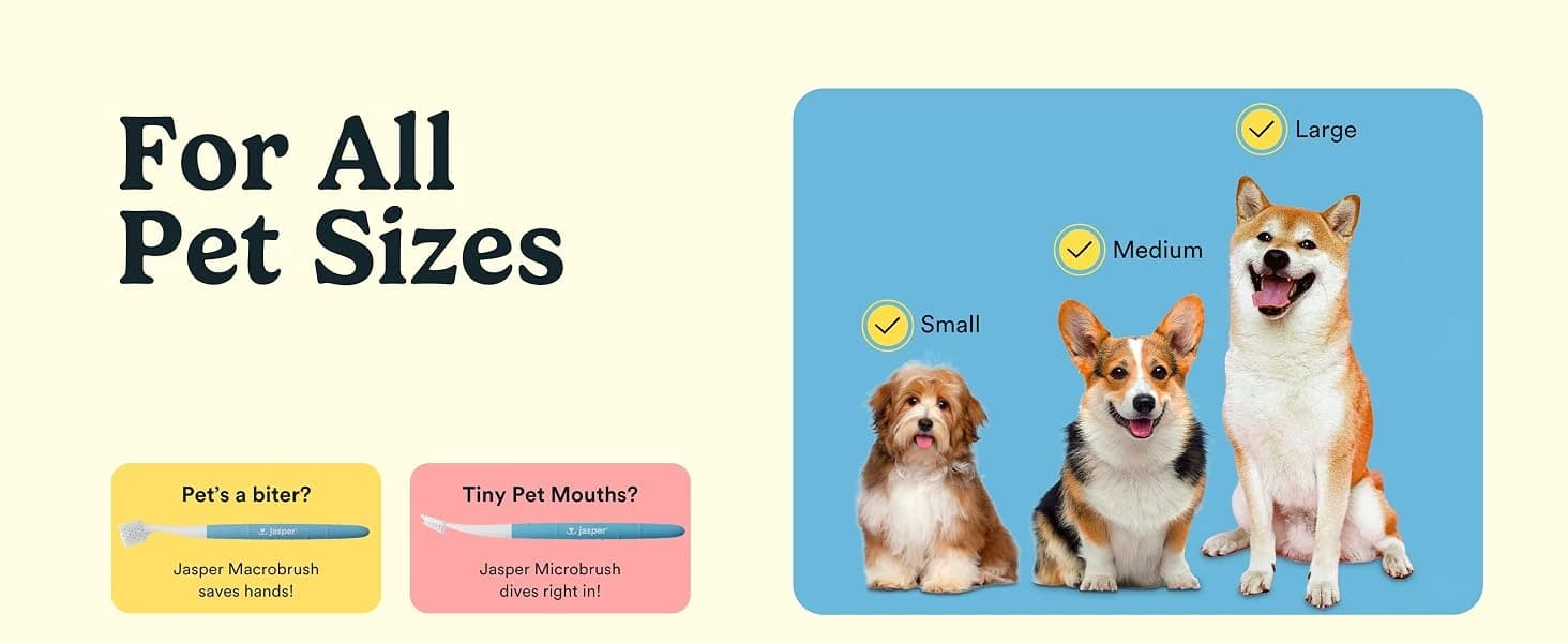 Dog Toothbrush — 360° Finger Toothbrush for Dogs and Cats — collection imagery