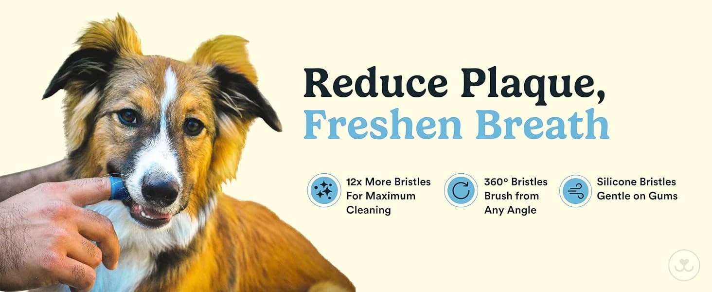 Dog Toothbrush — 360° Finger Toothbrush for Dogs and Cats — collection imagery