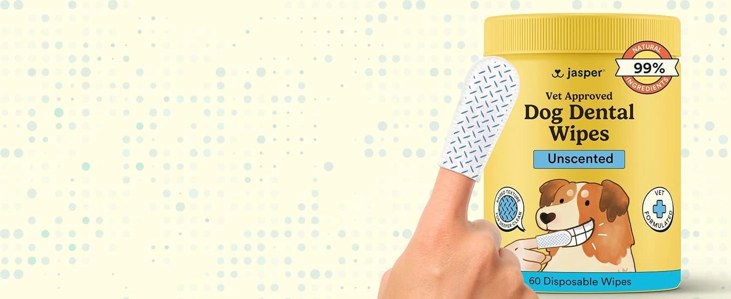 Dog Toothbrush — 360° Finger Toothbrush for Dogs and Cats — product details