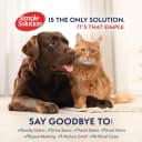 Extreme Stain and Odor Remover