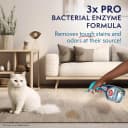 Extreme Stain and Odor Remover