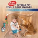 Extreme Stain and Odor Remover