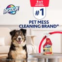 5-in-1 Pet Carpet Cleaner Spray for Stains and Odors