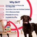 5-in-1 Pet Carpet Cleaner Spray for Stains and Odors