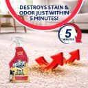 5-in-1 Pet Carpet Cleaner Spray for Stains and Odors