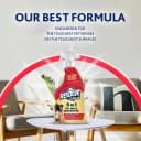 5-in-1 Pet Carpet Cleaner Spray for Stains and Odors
