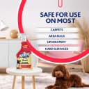 5-in-1 Pet Carpet Cleaner Spray for Stains and Odors