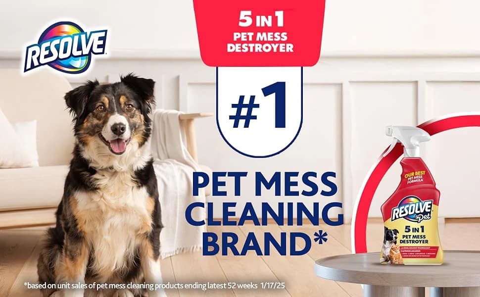 5-in-1 Pet Carpet Cleaner Spray for Stains and Odors — product details