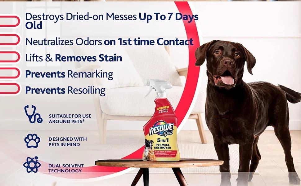 5-in-1 Pet Carpet Cleaner Spray for Stains and Odors — product details