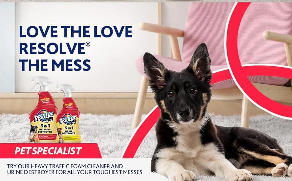 5-in-1 Pet Carpet Cleaner Spray for Stains and Odors — product details