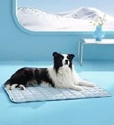 Waterproof Dog Blankets for Large Dogs Sherpa Fleece Throw — 40X50 — collection imagery