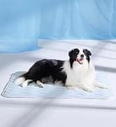 Waterproof Dog Blankets for Large Dogs Sherpa Fleece Throw — 40X50 — collection imagery