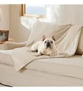 Waterproof Dog Blankets for Large Dogs Sherpa Fleece Throw — 40X50 — collection imagery
