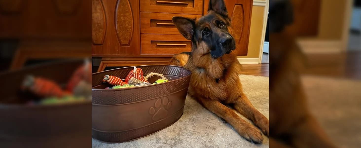 Copper Metal Pet Storage and Dog Toy Bin w/ Handles — Customer Photos
