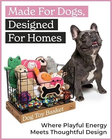 Metal Dog Toy Basket for Dogs and Cats (15 x 10 x 9 in — collection imagery