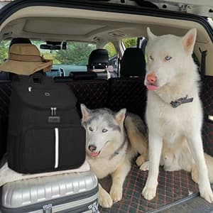 丨Dog Travel Bag — Airline Approved Pet Supplies Backpack — collection imagery