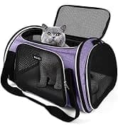丨Dog Travel Bag — Airline Approved Pet Supplies Backpack — collection imagery