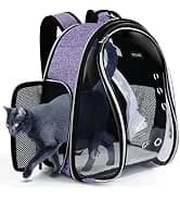 丨Dog Travel Bag — Airline Approved Pet Supplies Backpack — collection imagery