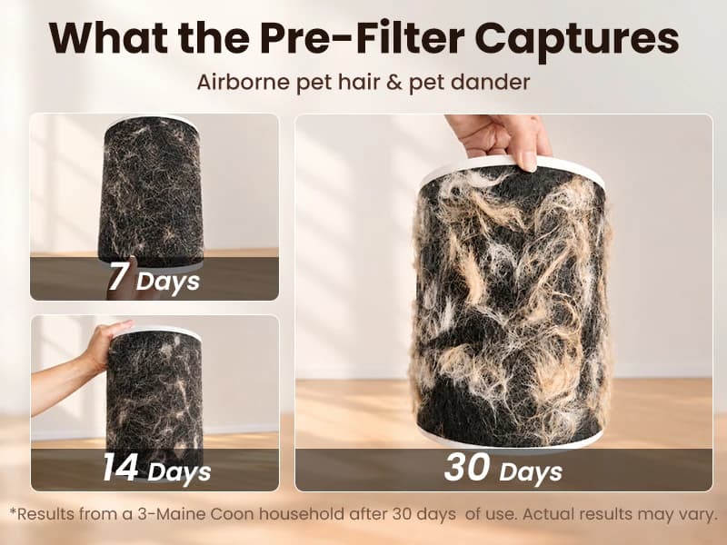 Air Purifier for Home Pets — Dual Sensors — Why Our Filter Lasts Up to — 2 Years？