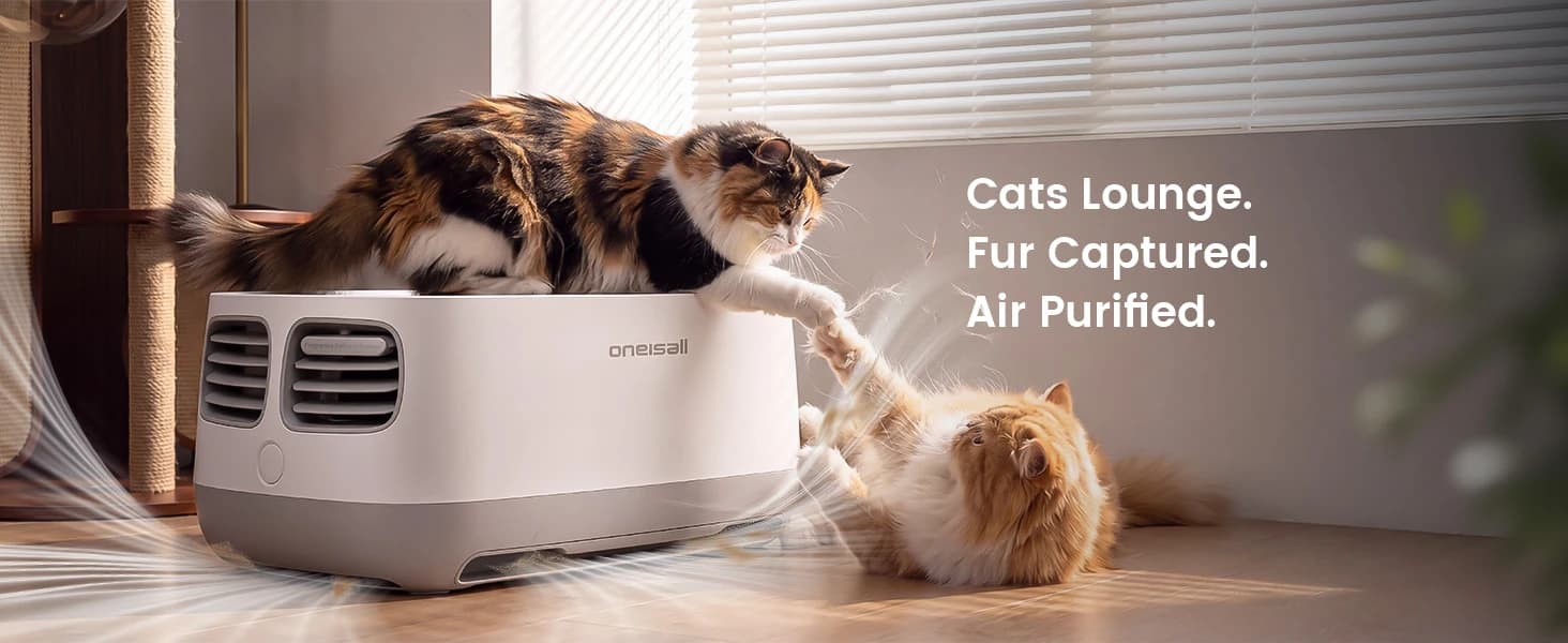 Pet Air Purifier with 3-Side Air Intake and Hair Collection Bin — product details