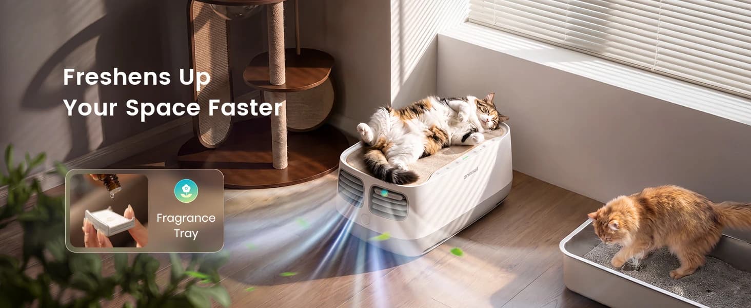 Pet Air Purifier with 3-Side Air Intake and Hair Collection Bin — product details