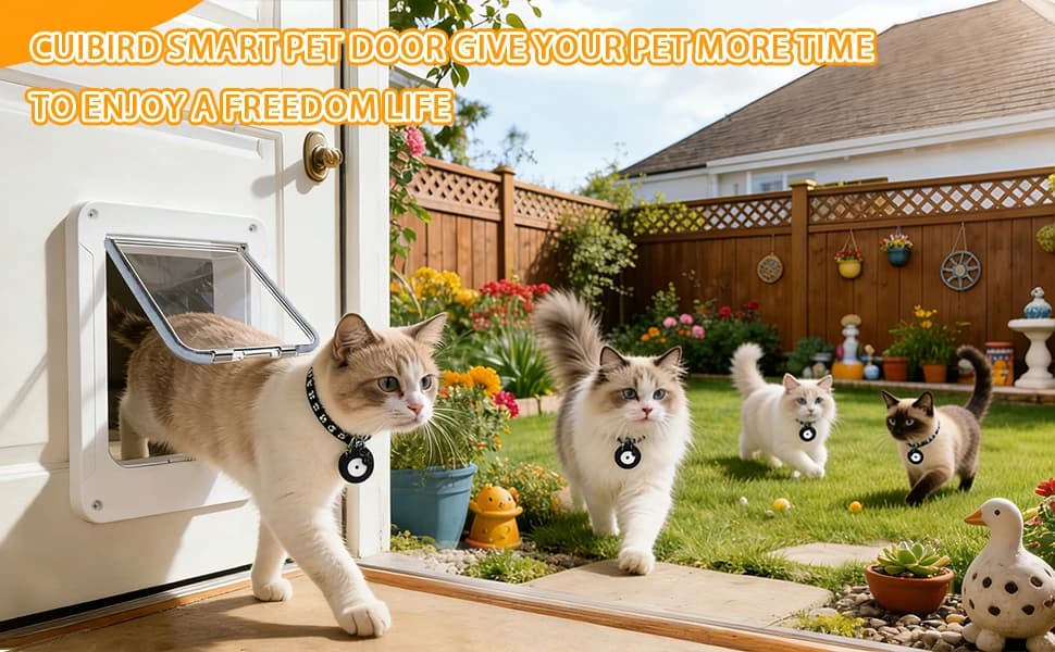 Smart Cat Door with 4 Collar Sensor Key — product details