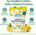 Carpet Deodorizer and Pet Odor Eliminator Powder