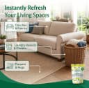 Carpet Deodorizer and Pet Odor Eliminator Powder