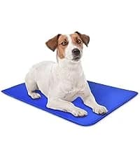 Dog Cooling Mat - Solid Gel Self-Cool Pad | Durable and Non-Toxic — collection imagery