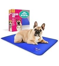 Dog Cooling Mat - Solid Gel Self-Cool Pad | Durable and Non-Toxic — collection imagery