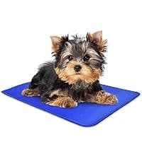 Dog Cooling Mat - Solid Gel Self-Cool Pad | Durable and Non-Toxic — collection imagery