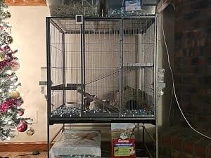 10Pcs Flexible 0.8mm Pet Cage Guard Liners Clear — Easy to assemble