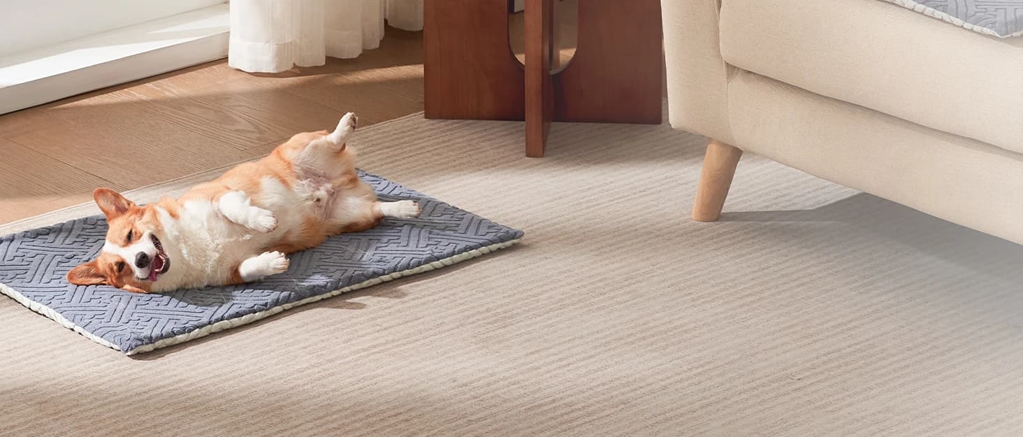 Cat Heating Pad — Heated Cat Bed Indoor — collection imagery