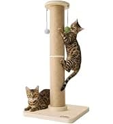 Cat Heating Pad — Heated Cat Bed Indoor — collection imagery