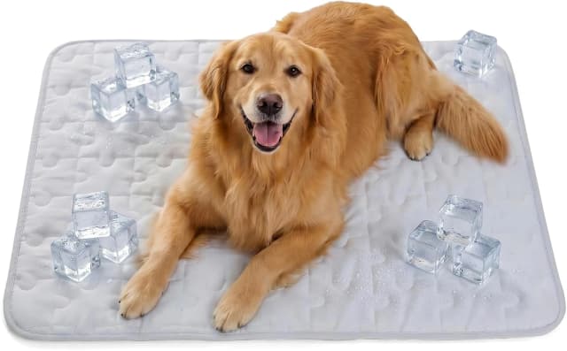 Cooling Dog Mat X-Large — Breathable 3D Mesh No-Gel Pad