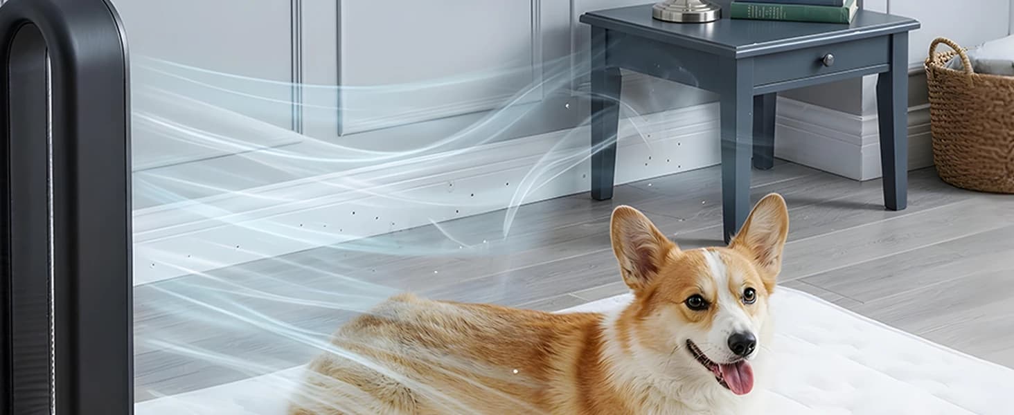 Cooling Dog Mat X-Large — Breathable 3D Mesh No-Gel Pad — product details