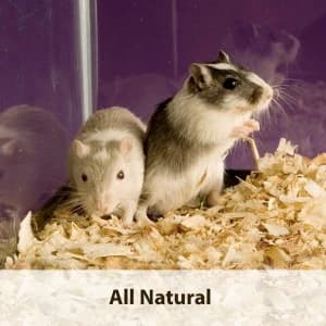 Small Animal Pine Bedding for Guinea Pigs — Rabbits — collection imagery
