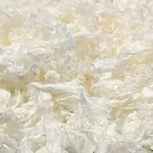 Clean and Cozy Paper Bedding for Small Animals — Small Animals. Big Love.
