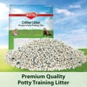 Premium Potty Training Critter Litter for Rabbits and Ferrets